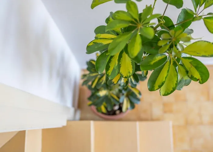 Mazza House With Sea View-center