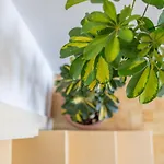 Mazza Charming Sea View Apartment,house - Center