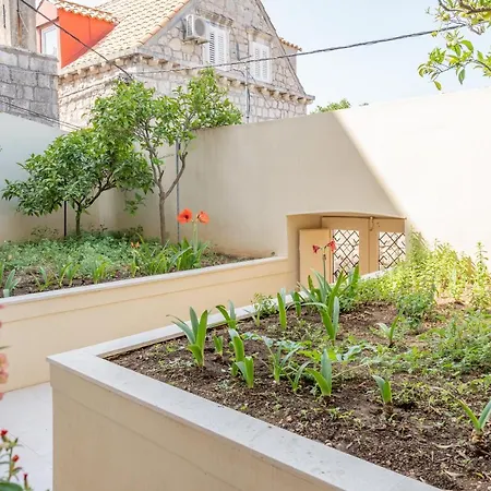 Mazza House With Sea View-center 아파트 *