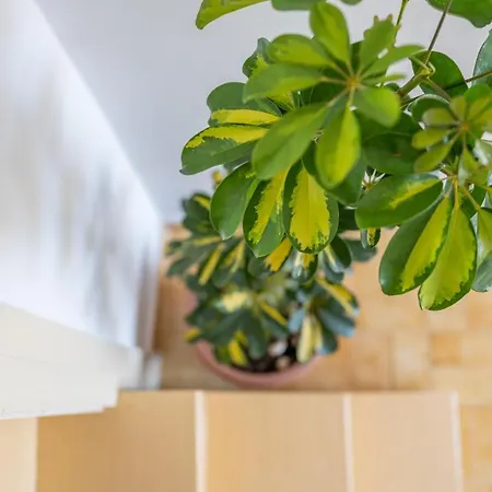 Mazza House With Sea View-center